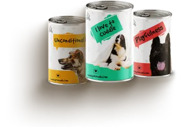 Awww Cute Cats – Read & Purr.