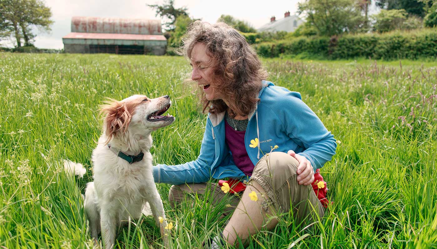 Awww Cute Cats – Read & Purr.