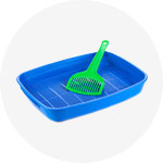 Awww Cute Cats – Read & Purr.