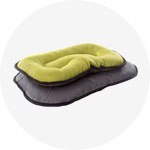 Awww Cute Cats – Read & Purr.